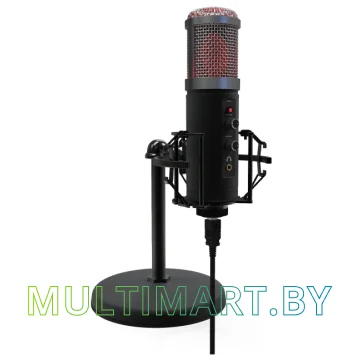 Микрофон Ritmix RDM-260 USB Eloquence картинка 4